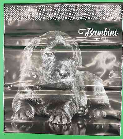 Пакет-сумка 40х45 з пластиковою ручкою  