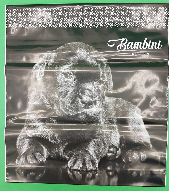 Пакет-сумка 40х45 з пластиковою ручкою  