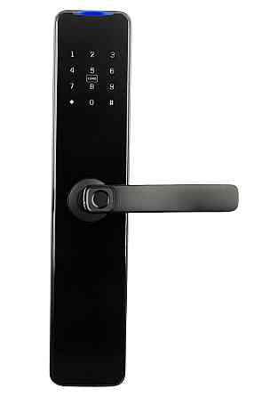 PES Collie черный Киев