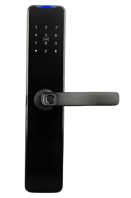 PES Collie чорний Київ - фото 4