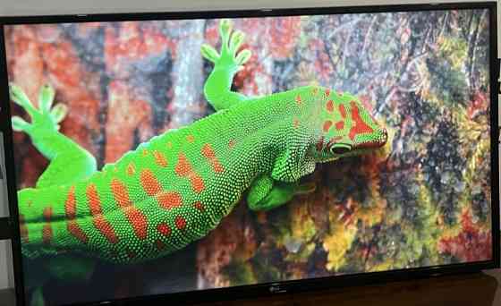 Телевізор LG 49" Київ