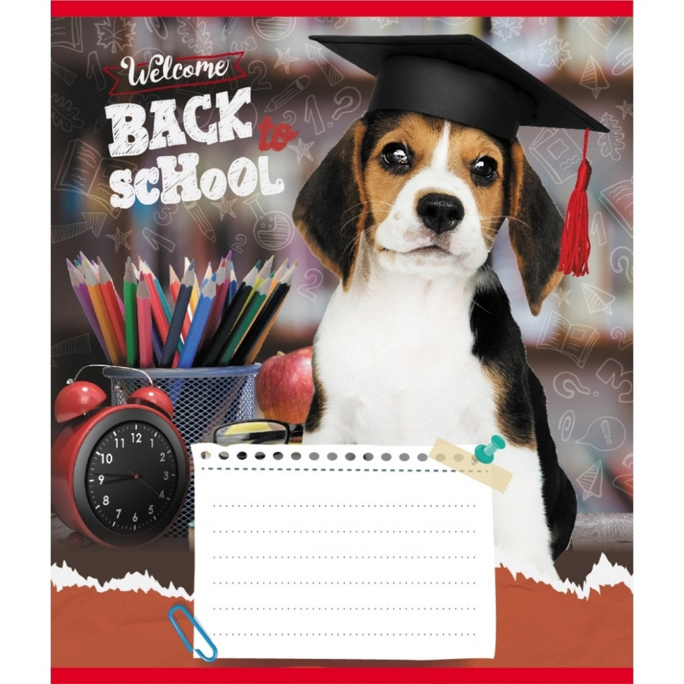 Тетрадь ученическая 