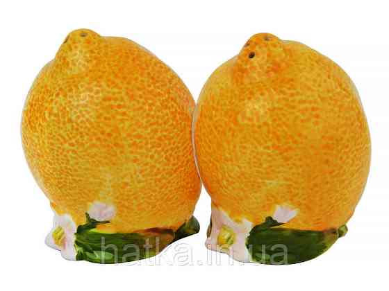 Набір для спецій 2 шт "Лимони" жовтий 59-343 Київ