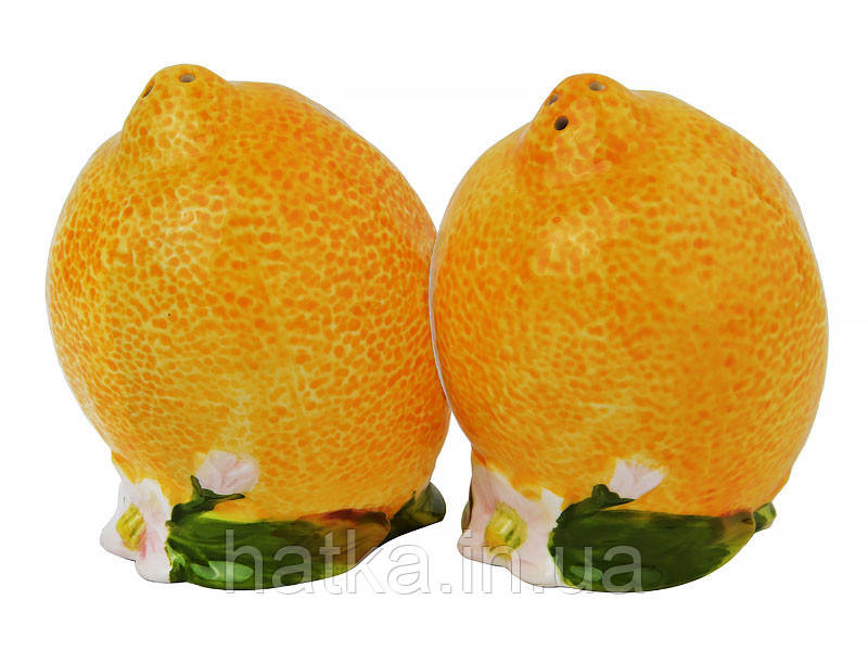 Набір для спецій 2 шт "Лимони" жовтий 59-343 Київ - фото 1