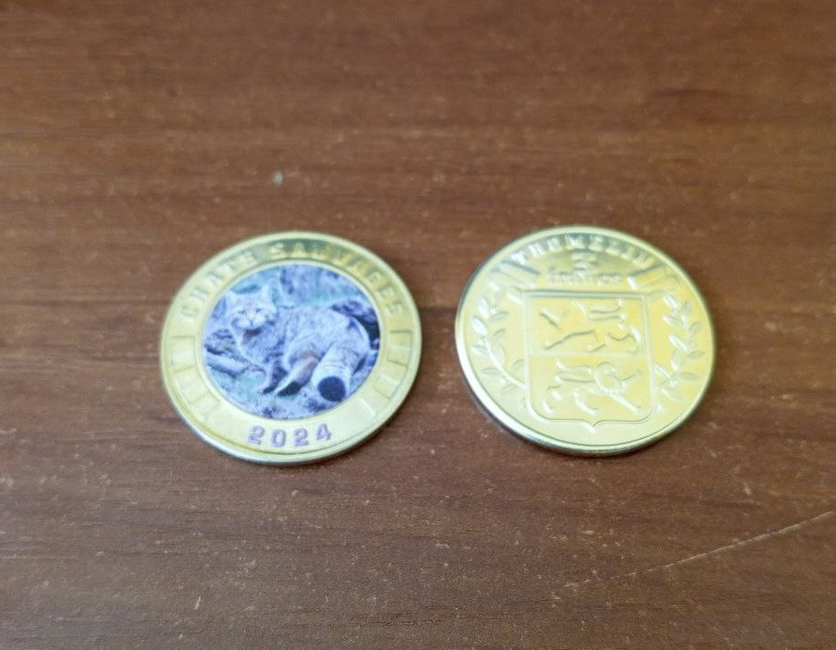 Фентезі - Tromelin - 3 франка 2024 / UNC КАРАКАЛ Полтава - изображение 1