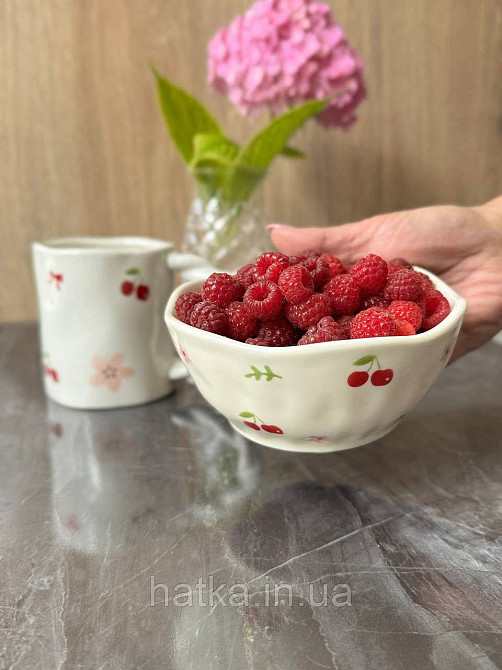 Салатник піала Olens "Вишні" 300 мл кераміка 8030-430 Київ - фото 1