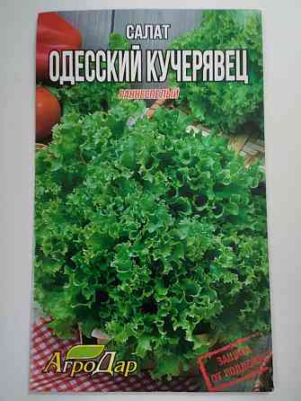 Салат 