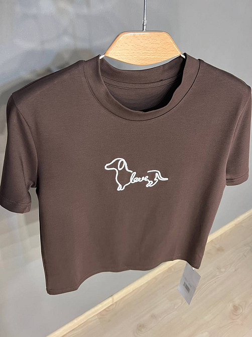Футболка жіноча A-N 25195 однотонна базова з вишивкою собачки попереду середня довжина  one size, коричневий, one size Київ - фото 16