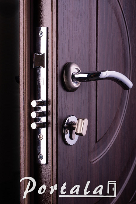 Двери уличные, серия Элегант, модель Рассвет, гнутый профиль, 2 контура уплотнения, 2 замка Киев - изображение 4