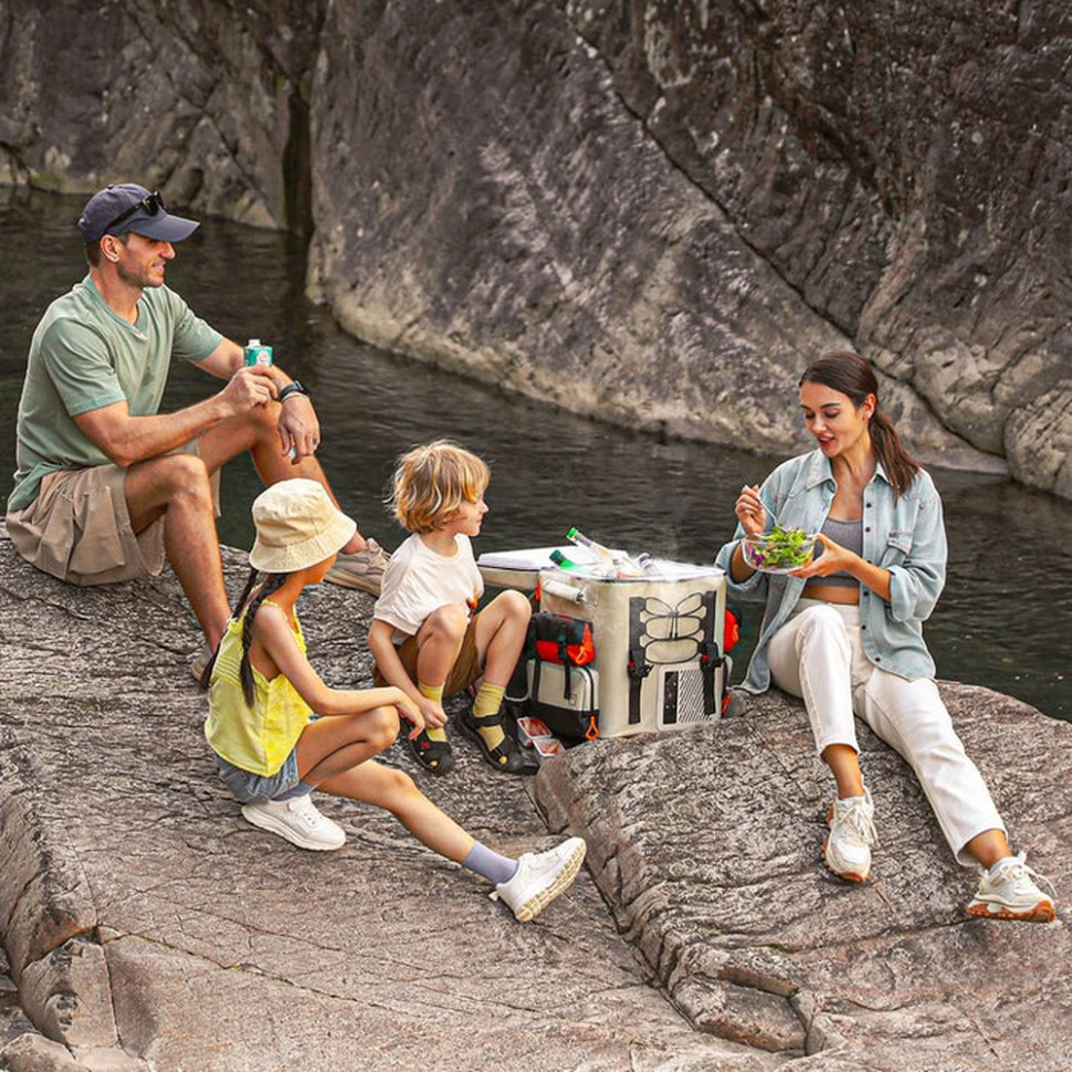 Акумуляторний холодильник-рюкзак Litheli 16л, живлення від павербанку (УМБ Litheli Power Bank 20000 mAh, 45 W в комплекті) Київ - фото 16