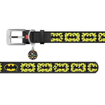 Нашийник для тварин WAUDOG Design з QR-паспортом "Бетмен 4" Ш 25 мм Д 38-49 см чорний (0025-1006-01) Вінниця