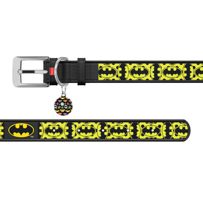 Ошейник для животных WAUDOG Design с QR-паспортом "Бэтмен 4" Ш 25 мм Д 38-49 см черный (0025-1006-01) Винница - изображение 3