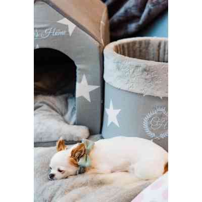 Нашийник для тварин Chloe&apos;s Home Багами темно-синій S (CLH4944) Вінниця