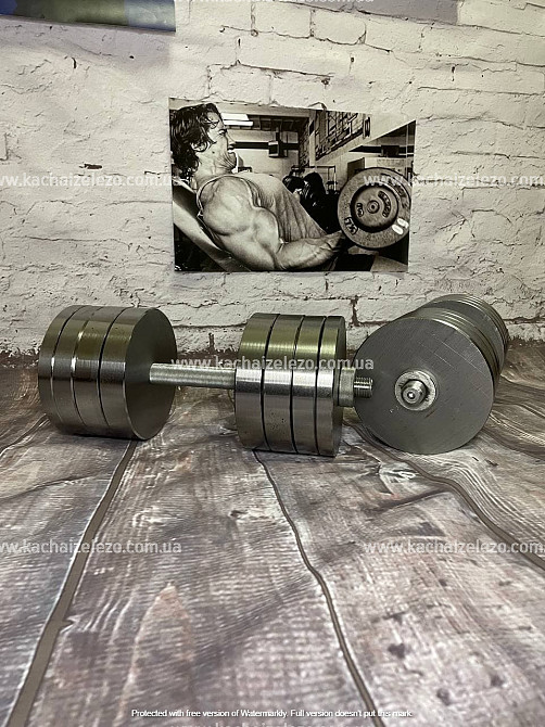 Гантелі набірні 2 по 38 кг Гантелі, гирі, штанги та диски металеві без покриття Київ - фото 1
