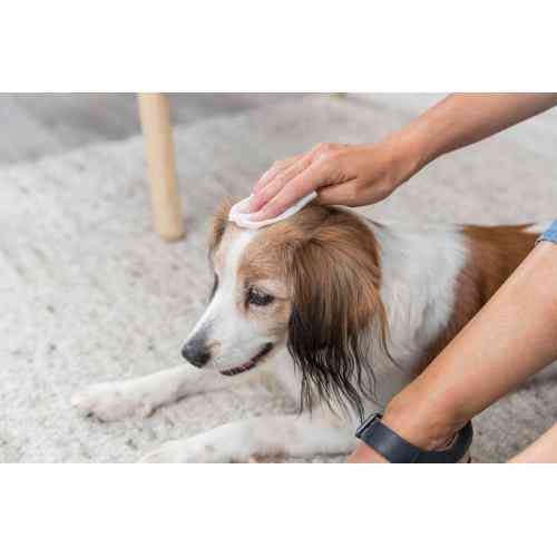 Серветки Trixie очищуючі універсальні з алое, 30 шт Вінниця