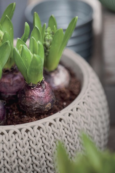 Подвесной горшок с кашпо для цветов Keter Cozies M, бежевый, 36 см Киев - изображение 2