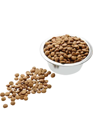 Сухой корм Пан Кот Классик для котят всех пород 10 кг Винница