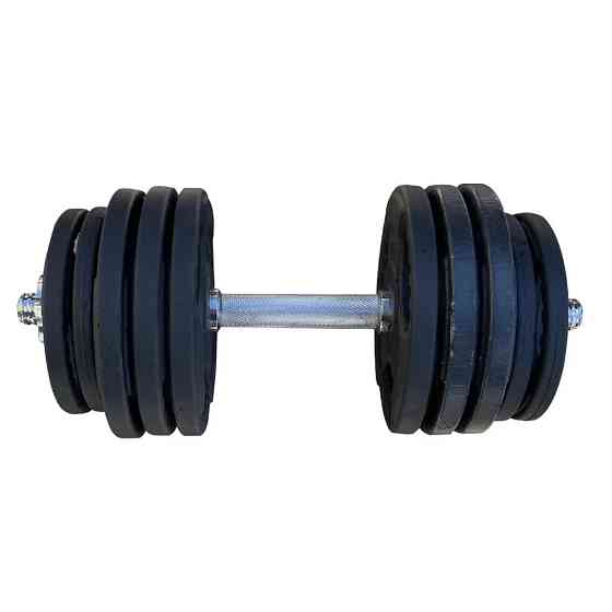 Гантель наборная металлическая Home Profi TI-968-21, 21 кг Винница