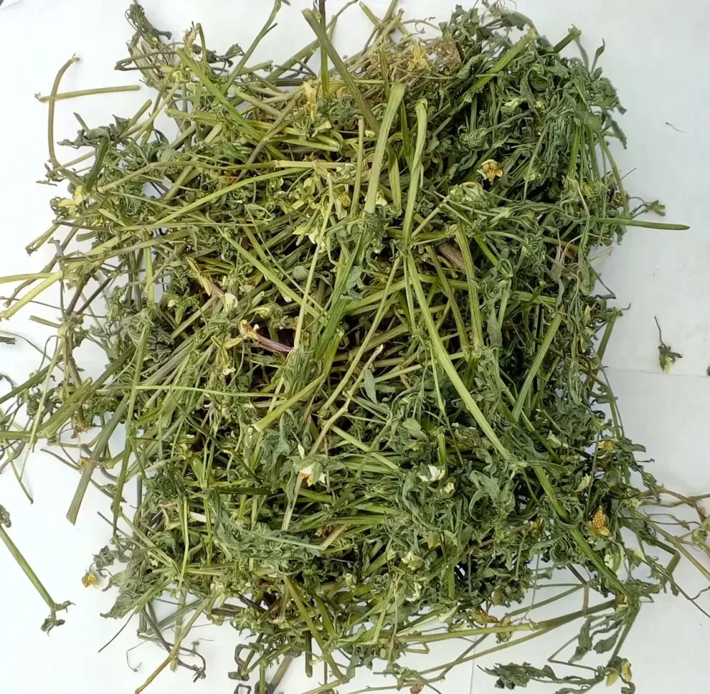 Фиалка трехцветная (Фіалка триколірна) 100г master sem Киев - изображение 1