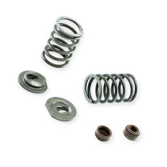 Клапанный комплект (пружины, тарелки, сальники клап) на 2 клапана 188F механизм Мукачево