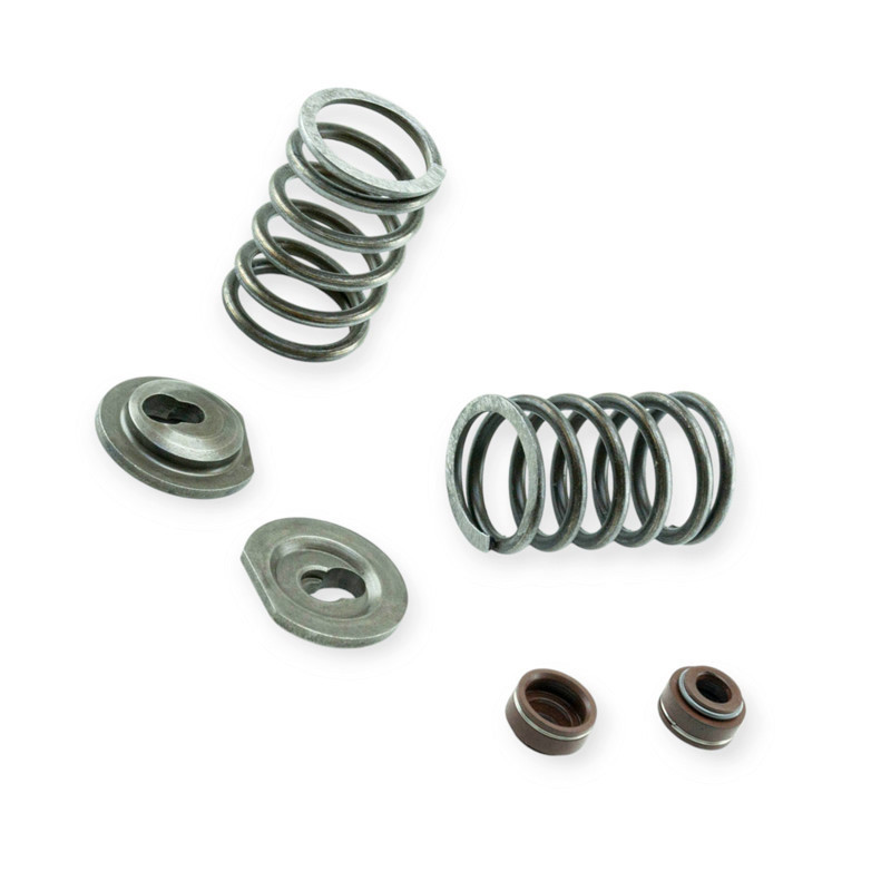 Клапанный комплект (пружины, тарелки, сальники клап) на 2 клапана 188F механизм Мукачево - изображение 1