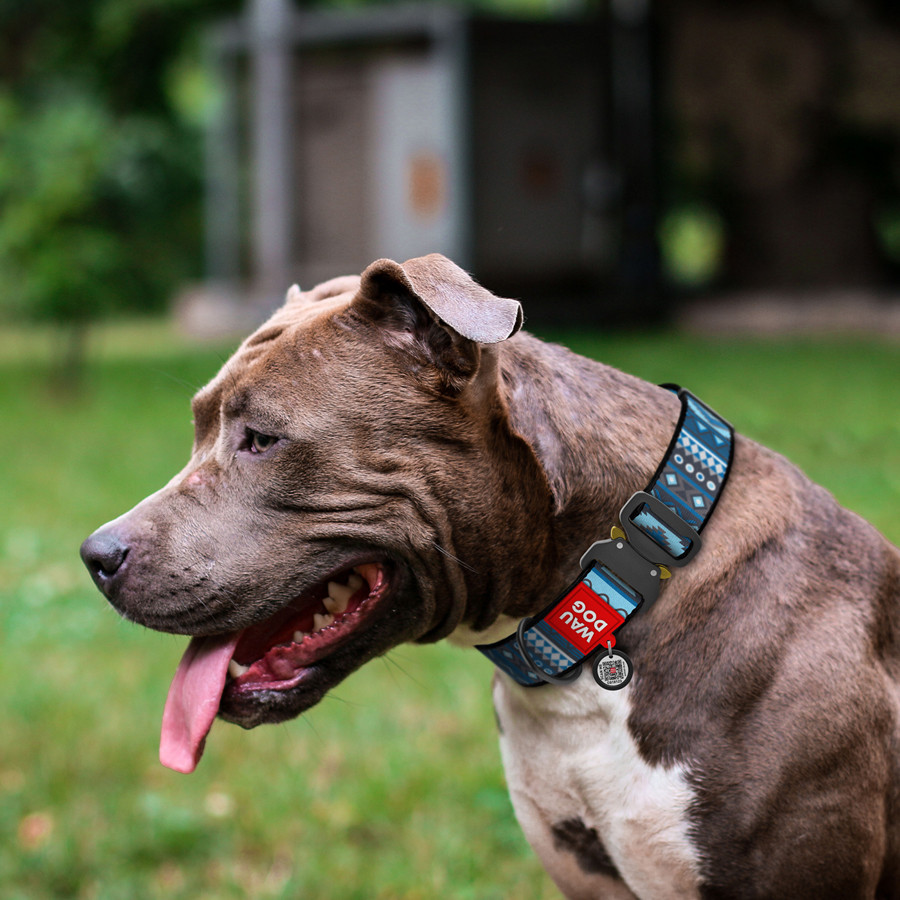 Нашийник для собак нейлоновий WAUDOG Nylon з QR паспортом, малюнок "Етно синій", металева пряжка-фастекс, Вінниця - фото 3