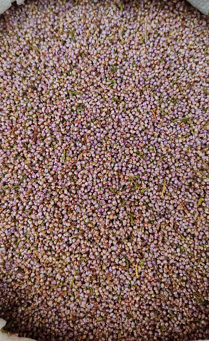 Верес цвіт, 100г. Київ - фото 1