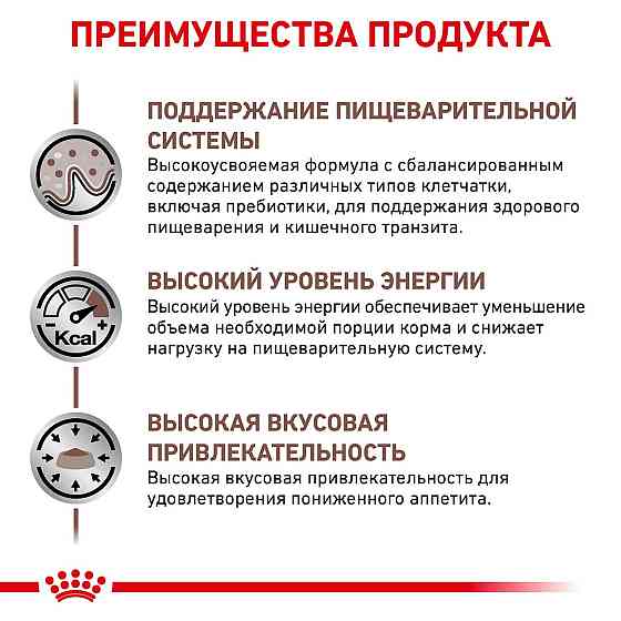 Royal Canin Gastrointestinal (Роял Канін Гастроінтестинал) сухий корм для кішок у разі розладів травлення Запоріжжя