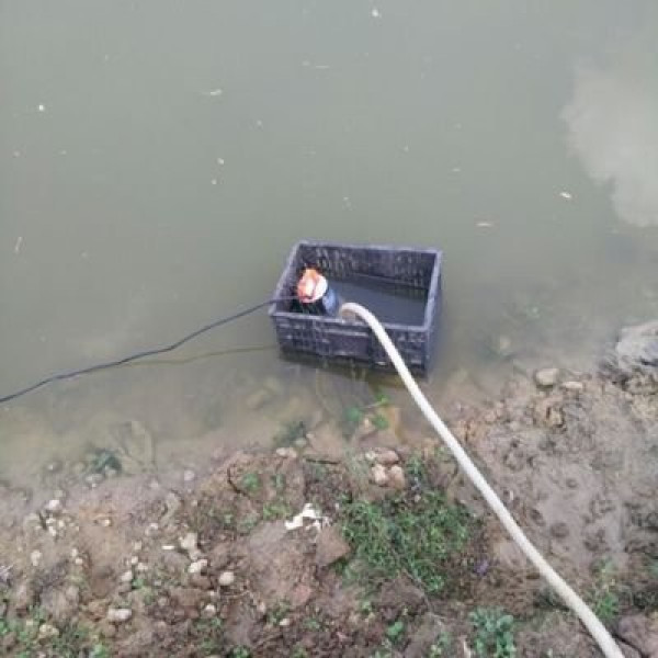 Насос для перекачки воды REWOLT погружной 12В (RE SLW-12V) Чернигов - изображение 5