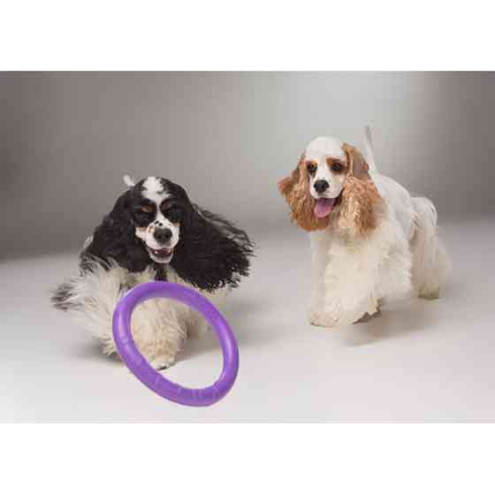 Тренувальний снаряд для собак PULLER Мini, (діаметр 18см) Коломыя