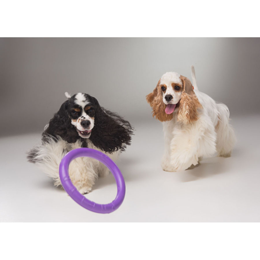 Тренувальний снаряд для собак PULLER Мini, (діаметр 18см) Коломия - фото 6