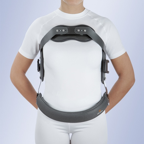 Гіперекстензійний корсет Orliman Jewett J001AG XL Дніпро - фото 2