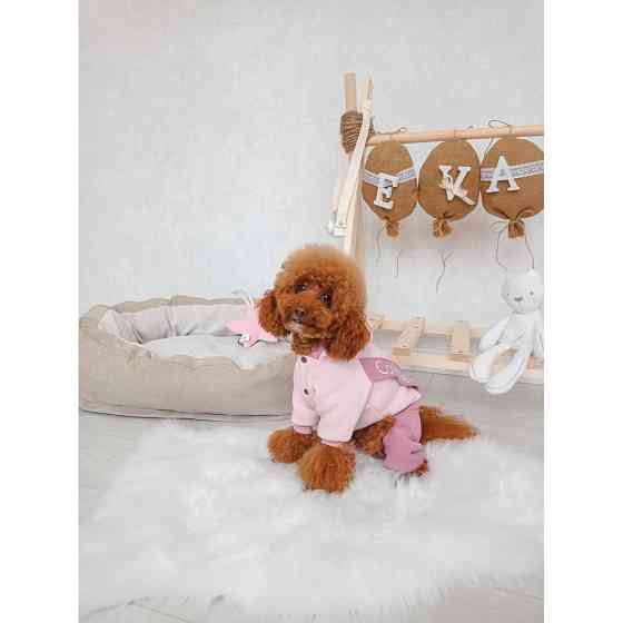 Лежак для собак и кошек Incor Donut бежевый Киев