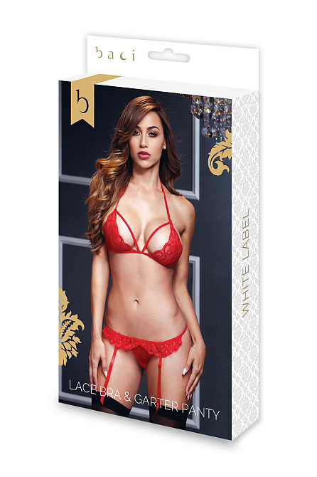 Комплект белья кружевной BACI Lace Garter Set, красный, One Size Sex Aura Киев - изображение 3