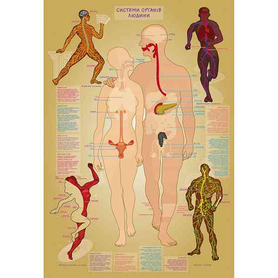 Детская обучающая игра с многоразовыми наклейками 