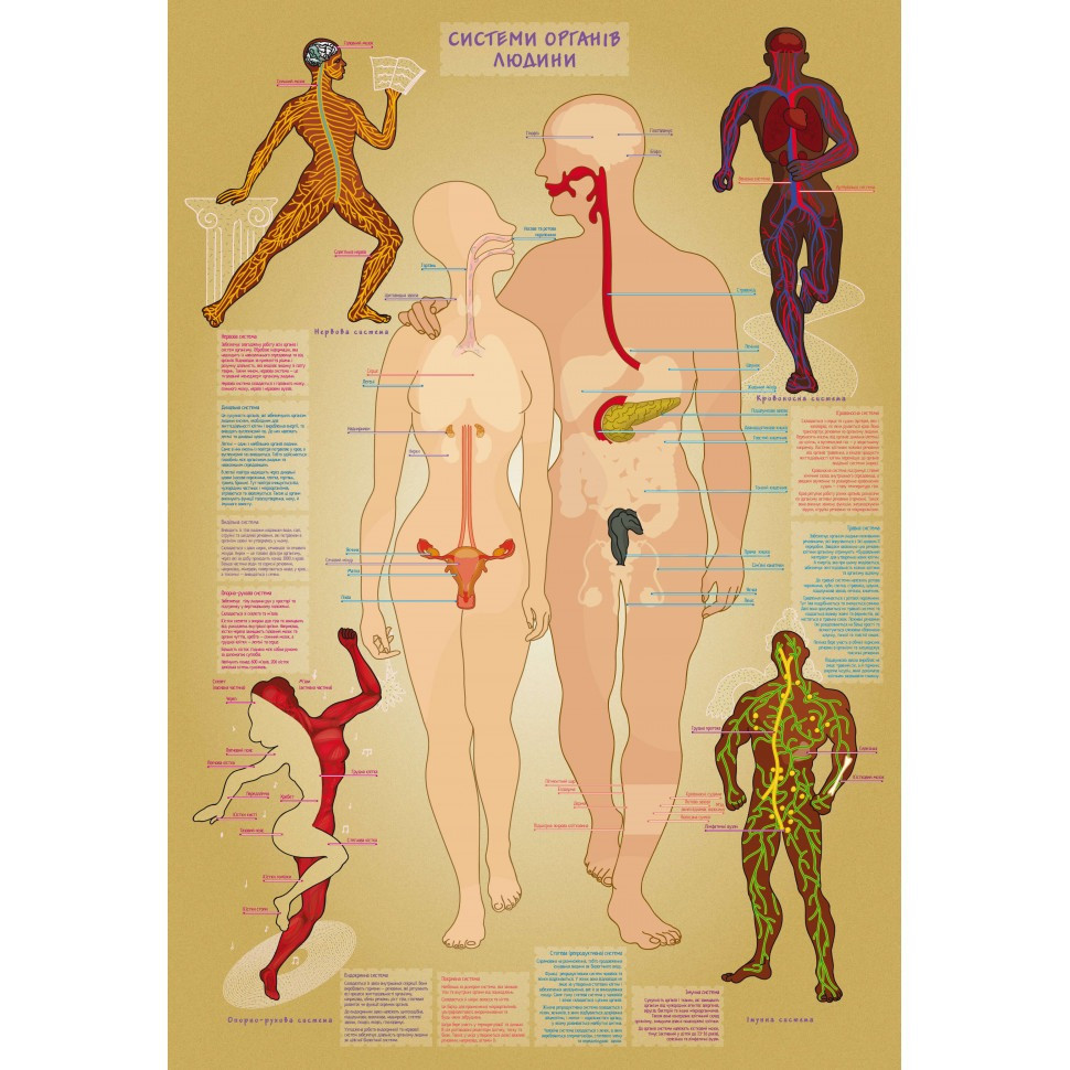 Детская обучающая игра с многоразовыми наклейками 