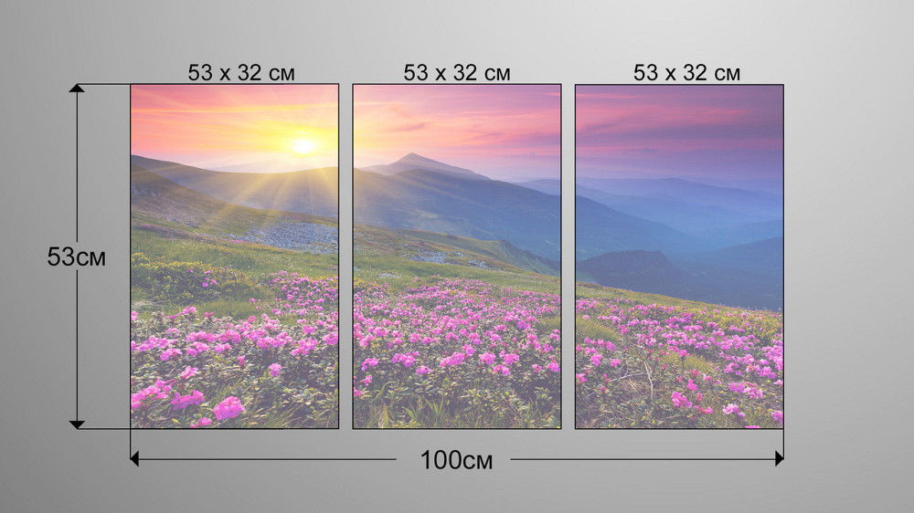 Модульная картина Природа Гори  Art-62_3А Киев - изображение 3