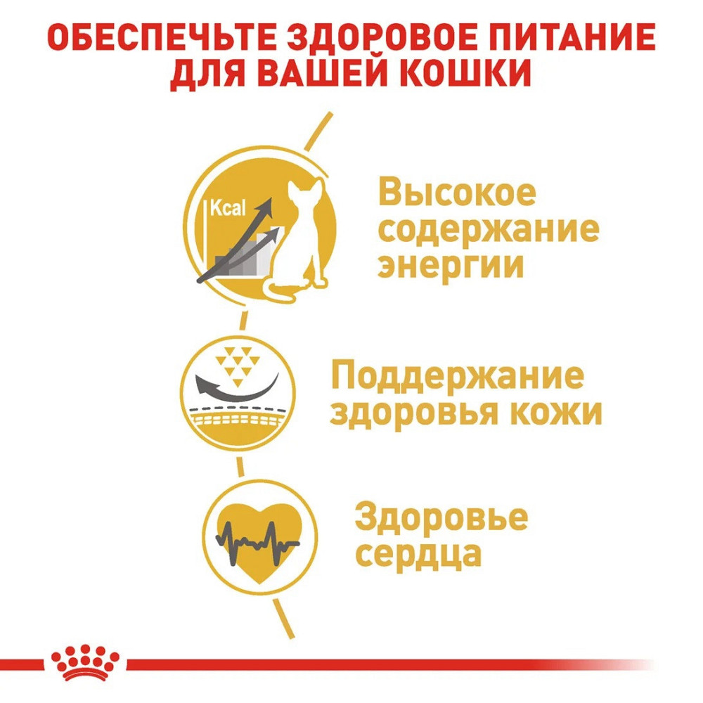 Royal Canin Sphynx Adult (Рояв Канін Сфінкс) сухий корм для котів породи сфінкс від 12 місяців 2 кг. Запоріжжя - фото 3
