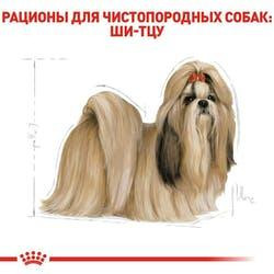 Royal Canin Shih Tzu Adult (Роял Канін Ши-тцу Едалт) сухий корм для собак породи ши-тцу від 10 місяців Запоріжжя - фото 5