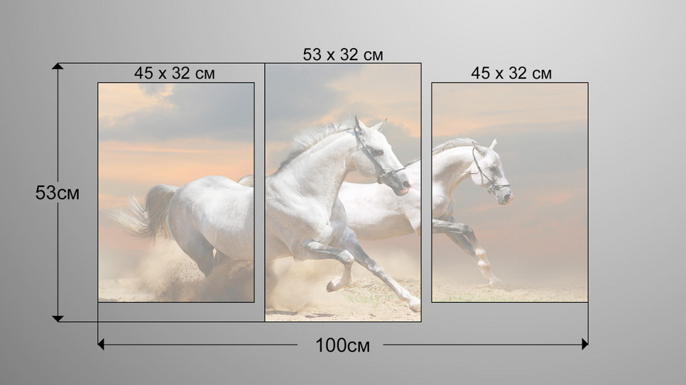 Модульна картина Природа Коні Art-81_3 Київ - фото 3