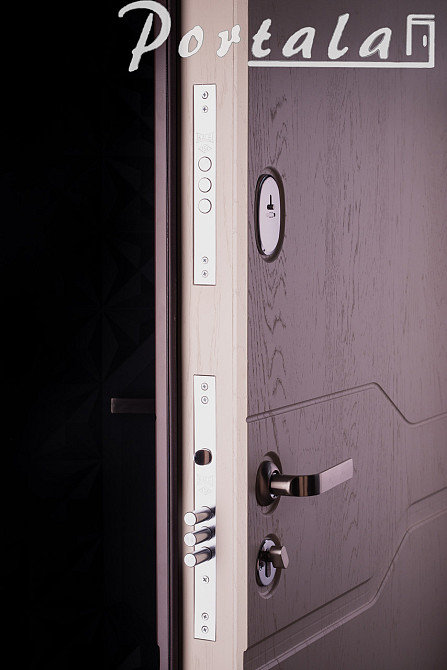 Двери уличные, МДФ-покраска по RAL,серия Премиум, модель Лозана, гнутый профиль, коробка 150 мм, полотно 105мм Киев - изображение 2