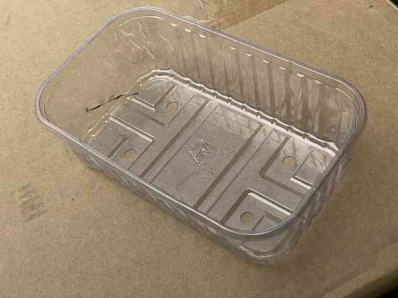 Пластиковый лоток для ягоды 500 грамм ПЭТ 193*117*53 см Павлоград