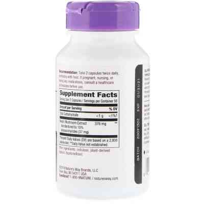 Трави Nature's Way Гриби Рейша, Reishi, Standardized, 376 mg, 100 капсул (NWY-62700) Вінниця