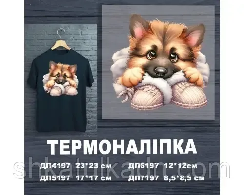 Термоналіпка (наклейка ) для перенесення на одяг (не під вишивку) Дніпро