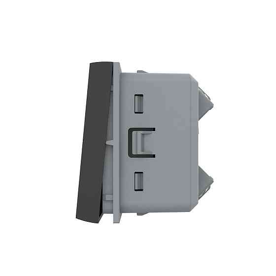 LIVOLO Кнопковий вимикач без фіксації (дзвінковий / імпульсний) LIVOLO, чорний, модуль без рамк Коломия