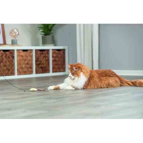 Игрушка Trixie для кошек Палочка с плюшевой звездой и кошачьей мятой 46 см Киев