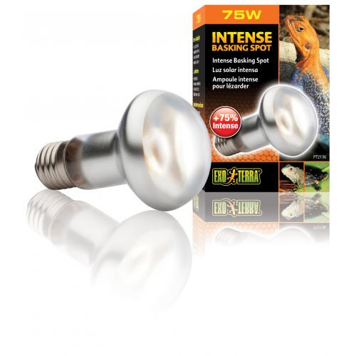 Лампа террариумная ExoTerra Daylight BASKING SPOT для террариумных животных дневная обогревающая зеркальная S20/75 Вт Киев - изображение 1
