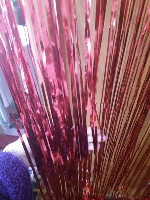 Дощик для фотозони прикраса 245 см на 92 см червоний Київ - фото 8