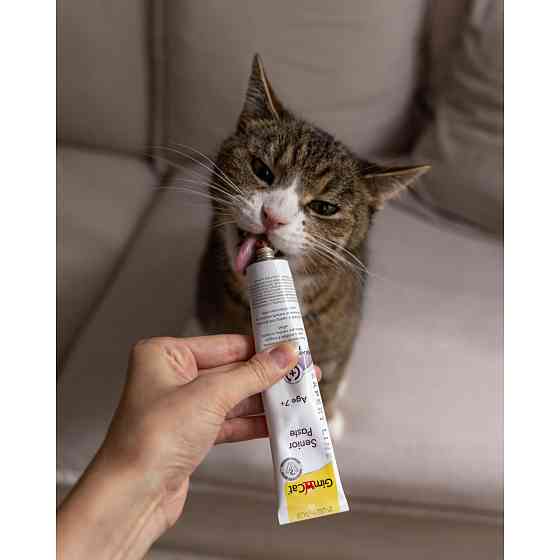 Вітаміни GimCat Expert Line Senior для котів, старше 7 років, 50 г Вінниця