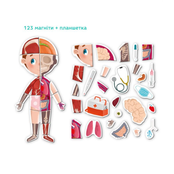 Розвиваюча магнітна гра "Людське тіло" DoDo 200220 Вінниця